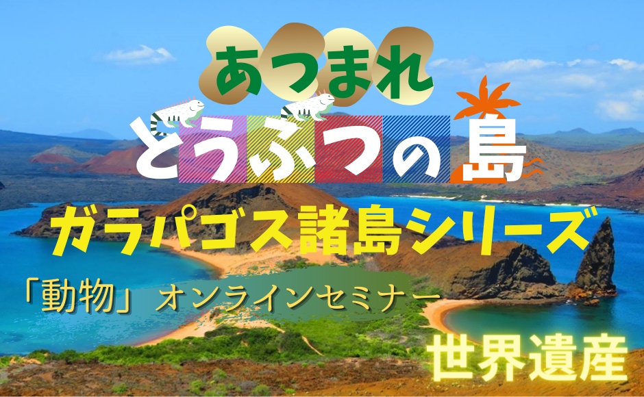 あつまれどうぶつの島 世界遺産ガラパゴス諸島の動物たちと仲良くなろう Hisアメリカ オンラインツアー