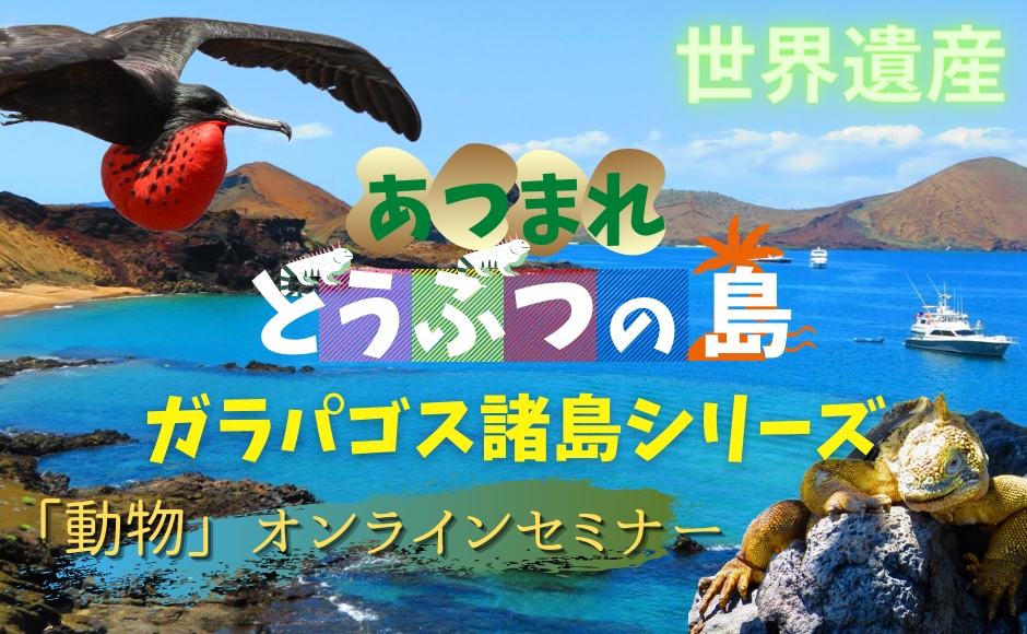 あつまれどうぶつの島 世界遺産ガラパゴス諸島の動物たちと仲良くなろう Hisアメリカ オンラインツアー