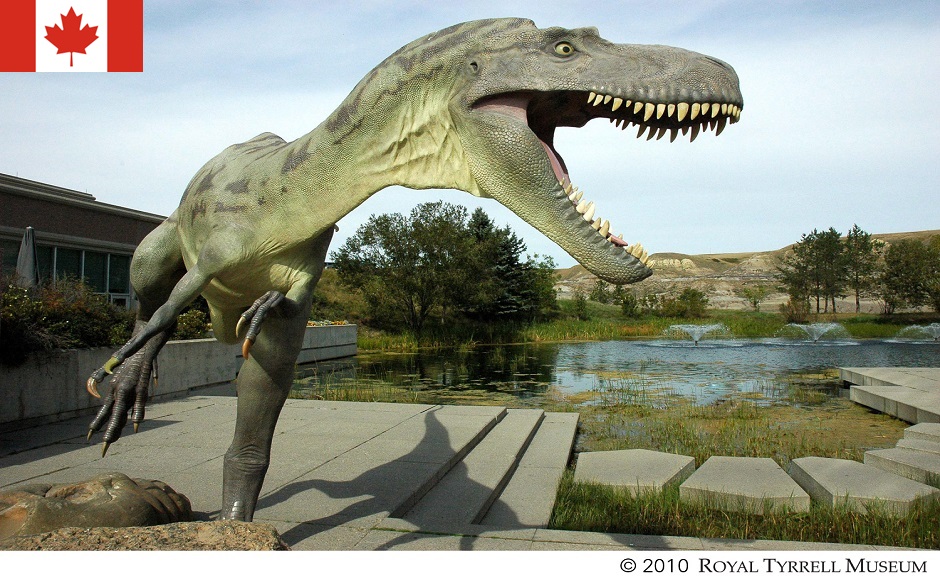 Royal Ontario Museum Vintage Hong Kong Dinosaur -ROM ALBERTOSAURUS CANADA.