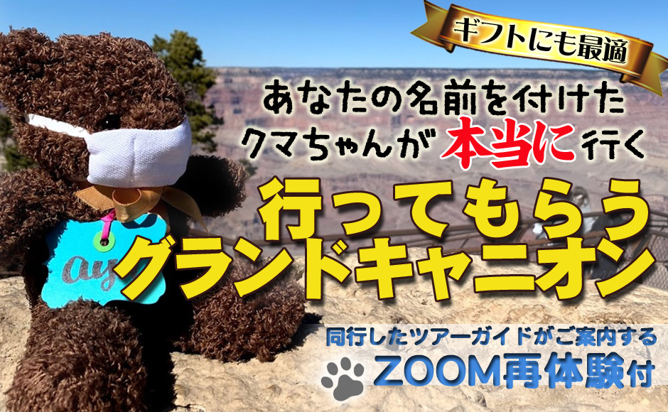 オンラインツアー ご自宅から海外旅行 Hisアメリカ