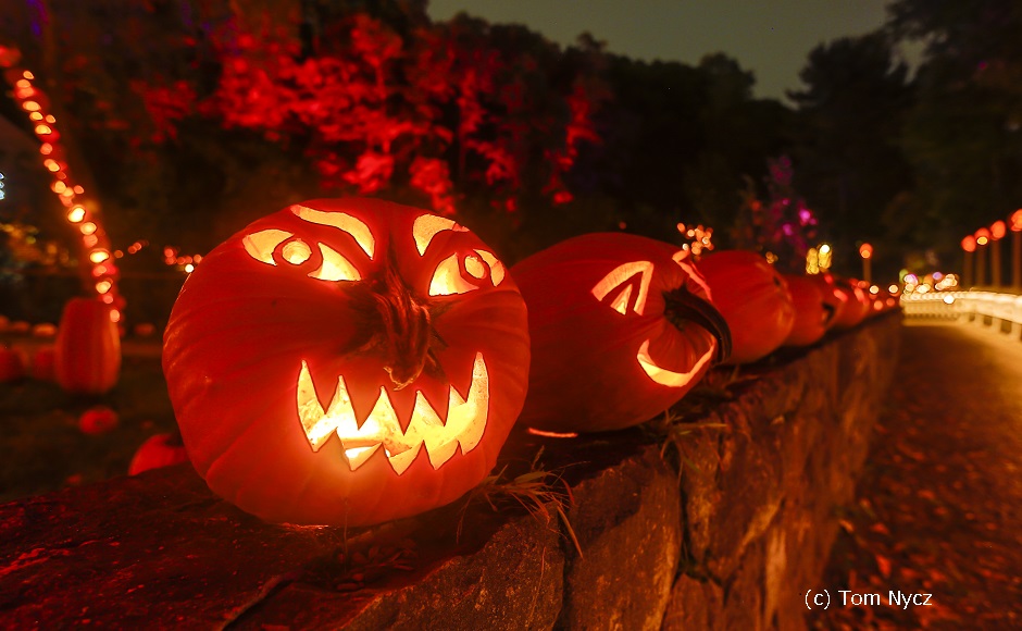 【10/27(日)限定】ニューヨーク最大のジャック・オ・ランタン・フェスティバル ~The Great Jack O'Lantern Blaze ~ 【10/27(日)限定】ニューヨーク最大のジャック・オ・ランタン・フェスティバル ~The Great Jack O'Lantern Blaze ~