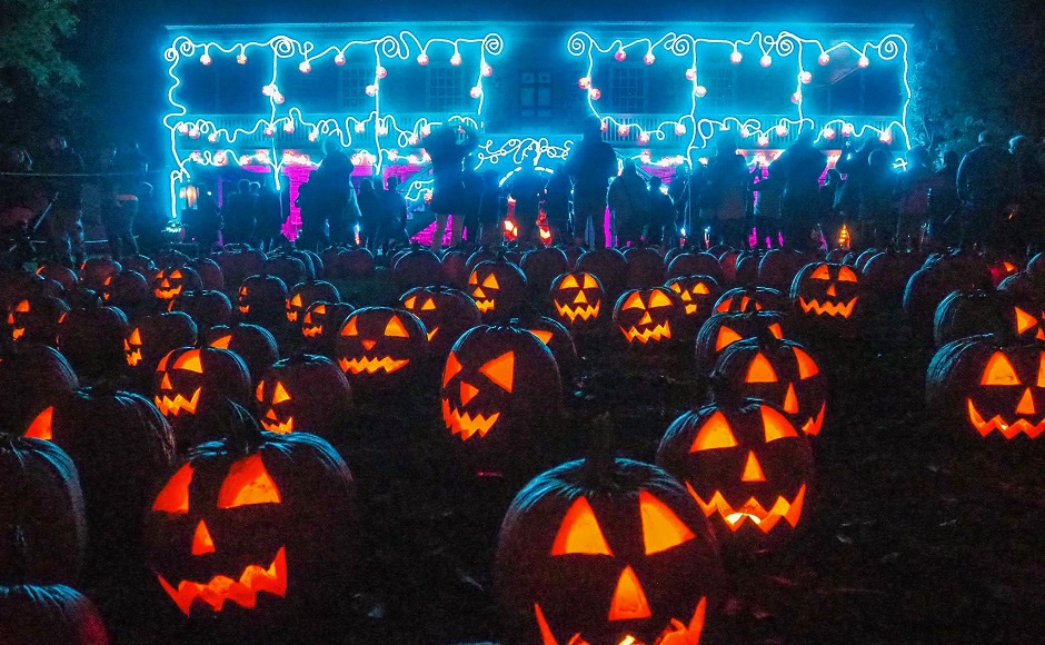 H I S 専用車プラン ニューヨーク最大のハロウィンかぼちゃ祭り ジャック オー ランタンとハドソン渓谷