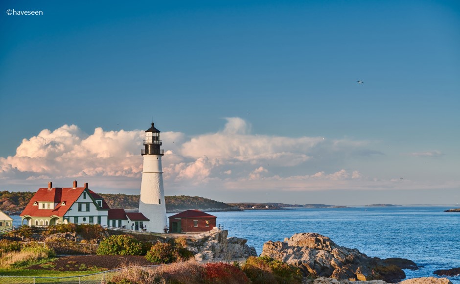 オンラインツアー ご自宅から海外旅行 Hisアメリカ