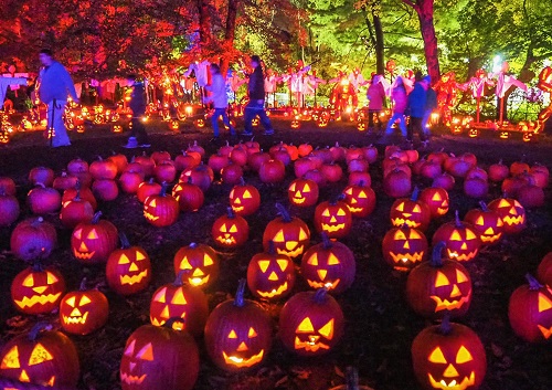 H I S 専用車プラン ニューヨーク最大のハロウィンかぼちゃ祭り ジャック オー ランタンとハドソン渓谷
