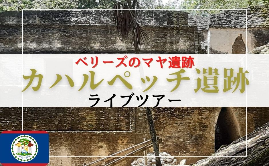 ベリーズのマヤ遺跡『カハルペッチ遺跡』ライブツアー 混載6名様(6端末)以上で催行 グループ参加も大歓迎! ※次回催行日未定※ 日本時間23:00PM メキシコシティ時間9:00AM ベリーズのマヤ遺跡『カハルペッチ遺跡』ライブツアー 混載6名様(6端末)以上で催行 グループ参加も大歓迎! ※次回催行日未定※ 日本時間23:00PM メキシコシティ時間9:00AM