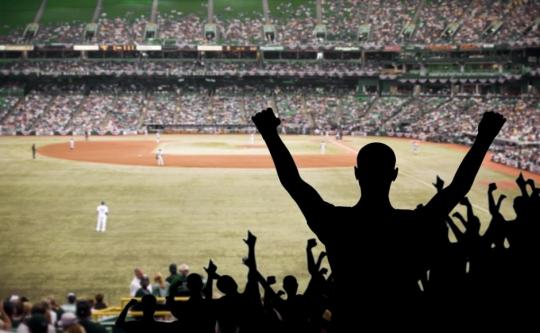 タンパベイ野球観戦ツアーD席 リザーブ(外野席又は内野席3階) タンパベイ野球観戦ツアーD席 リザーブ(外野席又は内野席3階)