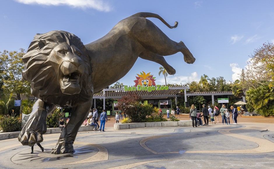 サンディエゴ動物園入場券