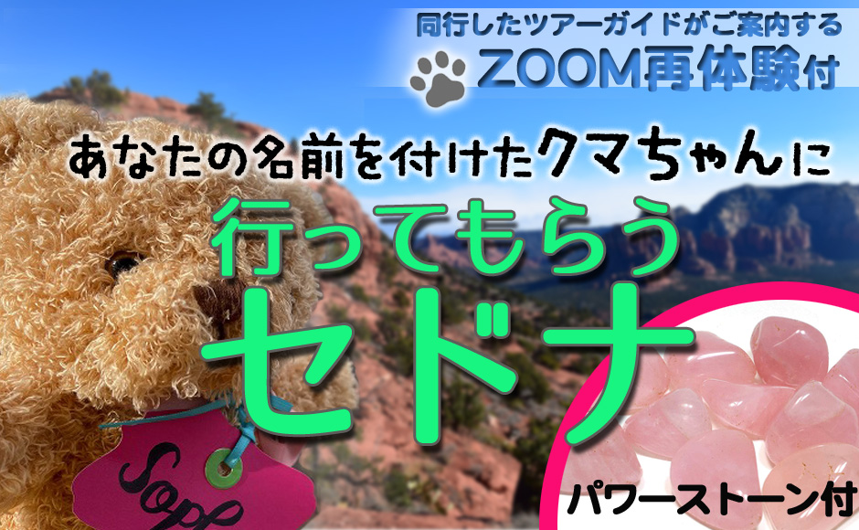 行ってもらうグランドキャニオン あなたの代わりにクマちゃんが行く Zoom再体験 マスク お土産付き Hisアメリカ オンラインツアー