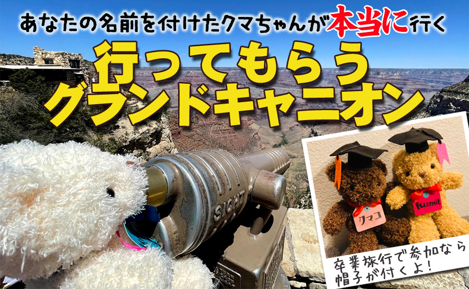 行ってもらうグランドキャニオン あなたの代わりにクマちゃんが行く Zoom再体験 マスク お土産付き Hisアメリカ オンラインツアー